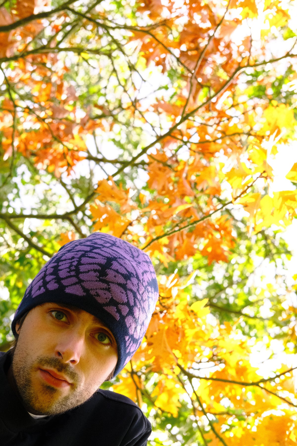 BEANIE V1