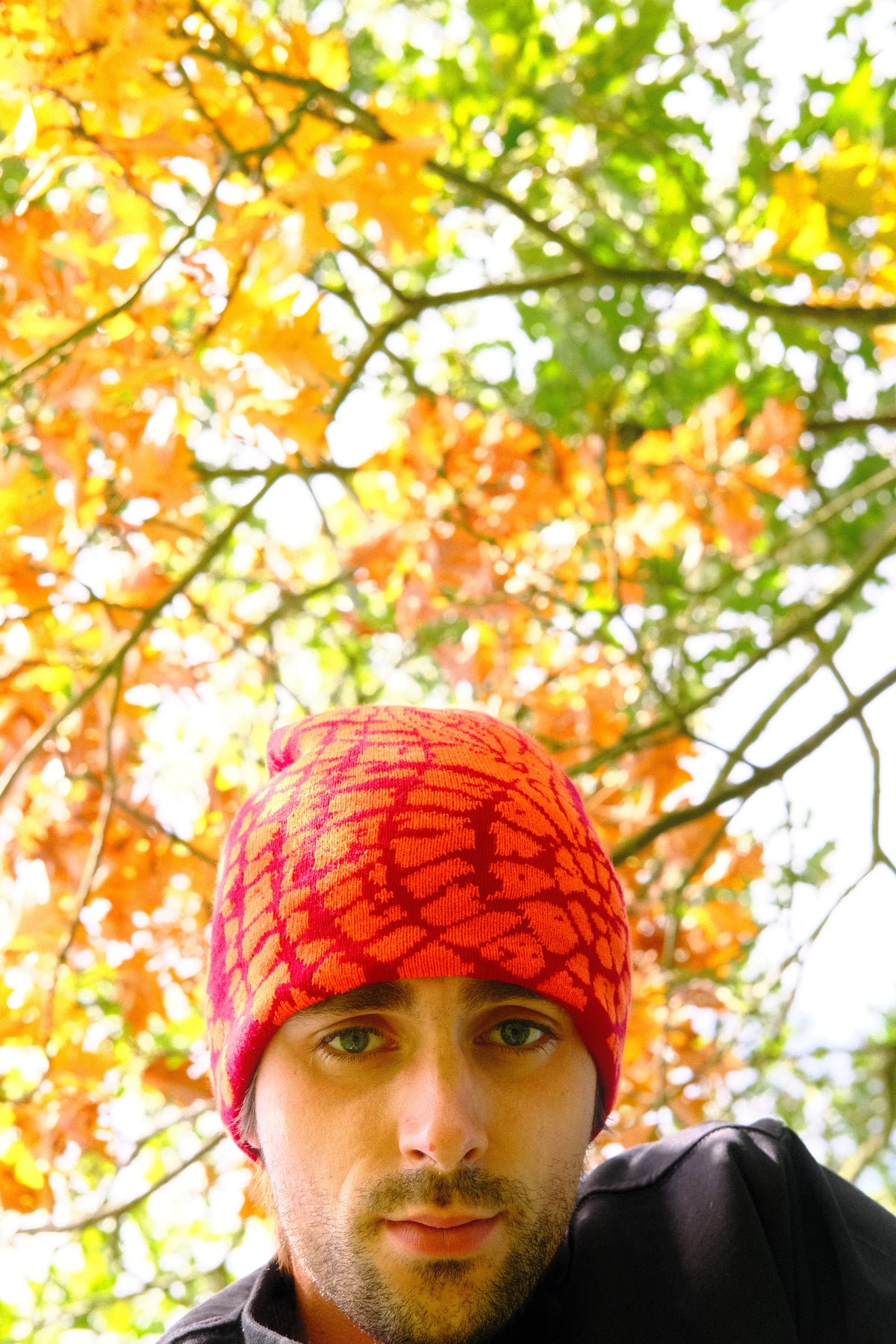 BEANIE V1